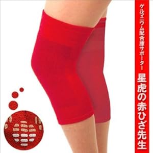 【クリックで詳細表示】星虎の赤ひざ先生(2枚組)