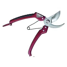 �T�{�e�� ������ EX-1