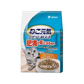 �˂����C  �얞���C�ɂȂ�L�p  2kg