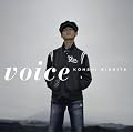 Voice