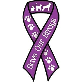 �yAnimalsINK.com�z���{���^�}�O�l�b�g�w���q���E���q�L���Ȃ������xSave Our Strays