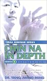  Chin Na in Depth Vol 1 (Video)