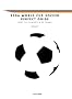2006 WORLD CUP SOCCER PERFECT GUIDE