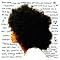 ��New Classic Soul�D���ɃI�X�X����CD