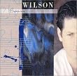 BRIAN WILSON(�f���b�N�X�E�G�f�B�V����)