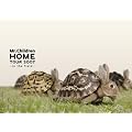 Mr.Children �gHOME�h TOUR 2007~in the field~ [DVD]