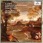 �o�b�n:�ǌ��y�g��(�S��)