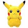 �|�P�b�g�����X�^�[�@�|�P�����ʂ�����݂c�o�F�s�J�`���E