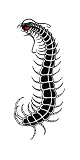 �Չ��ρ@M067�@�僀�J�f�i8.7cm x 5cm�j