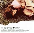 �r���[�N�́u�l�Y�̖؁v~ �O�������b��� [DVD]