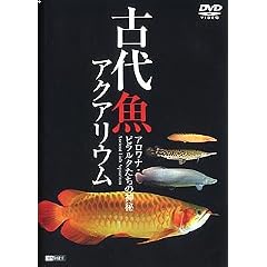 �Ñ㋛�A�N�A���E��/�A�����i�E�s�����N�����̐_�� [DVD]