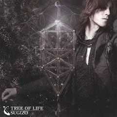 TREE OF LIFE(DVD�t)