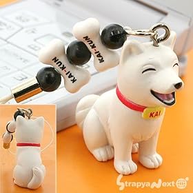 ����������ő�l�C�I�I�w�������̃J�C����x�I�t�B�V�������t KAIKUNNK0401