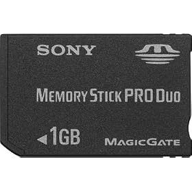 SONY �������[�X�e�B�b�NPRO�f���I 1GB MSX-M1GS