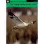 The Snow Goose and Other Stories: Level 3 (Penguin Longman Active Reading)