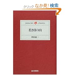 �Ⴋ���̎R (yama�]kei classics)