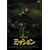 �~�b�V���� �X�y�V�����E�G�f�B�V���� [DVD]