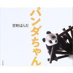 �p���_�����
