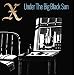 Under the Big Black Sun