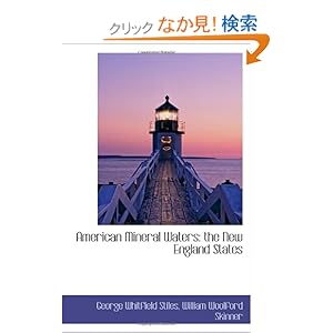 【クリックでお店のこの商品のページへ】American Mineral Waters: the New England States: George Whitfield Stiles, William Woolford Skinner: 洋書
