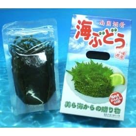 ���ꌧ�Y�h�C�Ԃǂ��I480g�i120g�~4��) ��������