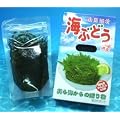 ���ꌧ�Y�h�C�Ԃǂ��I480g�i120g�~4��) ��������