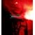 madrigal of decadence(��������B)�yCD+DVD�t�z