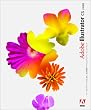 Adobe Illustrator CS ���{��� Windows��