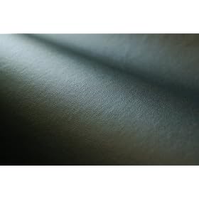 �B�e�p�X�N���[���Ƃ��Ă��c������@���n�@����@��[CAP2-10]