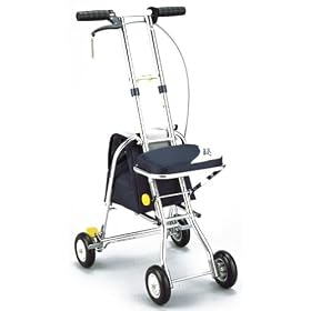 Walking Stecky �j���[�E�H�[�L���OIII �l�C�r�[
