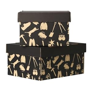【クリックで詳細表示】HABOL ふた付収納ボックス 2ピース 201.876.95 IKEA イケア