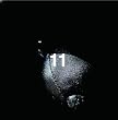 11(��������)(DVD�t)