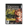 Dungeon Siege: Legends of Aranna �i�A���Łj