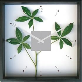 F-Style Clock�@�i�����Ȑl�H�ϗt�A���E���v�jPachira glabra �p�L��
