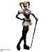 BATMAN: ARKHAM ASYLUM(TM) PLAY ARTS�� -KAI- HARLEY QUINN(TM) �y�n�[���[�N�B��(TM)�z