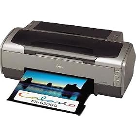 EPSON �J�����I PX-G5000