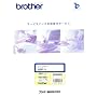 BROTHER ���[�U�v�����^�[�o���T�[�r�X�p�b�N3�N MVS101301