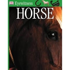 Horse (Eyewitness)