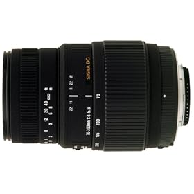 �V�O�} 70-300mm F4-5.6 DG MACRO �L���m���p