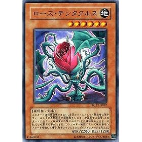 �y�V�Y���J�[�h�z ���[�Y�E�e���^�N���X RGBT-JP007-N