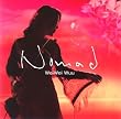 NOMAD(�V�q��)