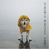 �����҂͒m�炸�A�m��҂͌��킸(����`�v���C�u)