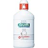 GUM  �f���^�������X�q��  250ML