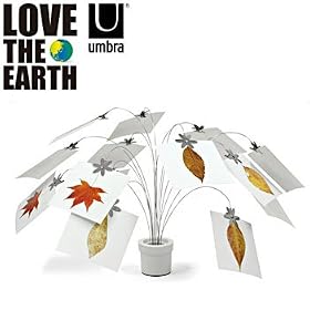 LOVE THE EARTH�˓����[�����h�u�؃^���t�H�g�N���b�v�v#5306980-670�ʐ^���� �t�H�g�t���[��