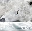 Wolf's Rain 1
