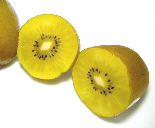 B001GQFRAA
