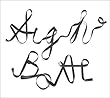 Sigh boat