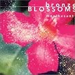 Bronze Blossoms~�u�����Y�̊J�� �o�����K�������̊��2