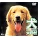 ���A��D��!�h�b�O�Y�E�r�[�E�n�b�s�[! [DVD]