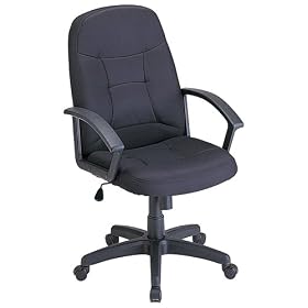 ���A�X �G�O�[�N�e�B�u�`�F�A �z�n���� �u���b�N RZE-A104BK